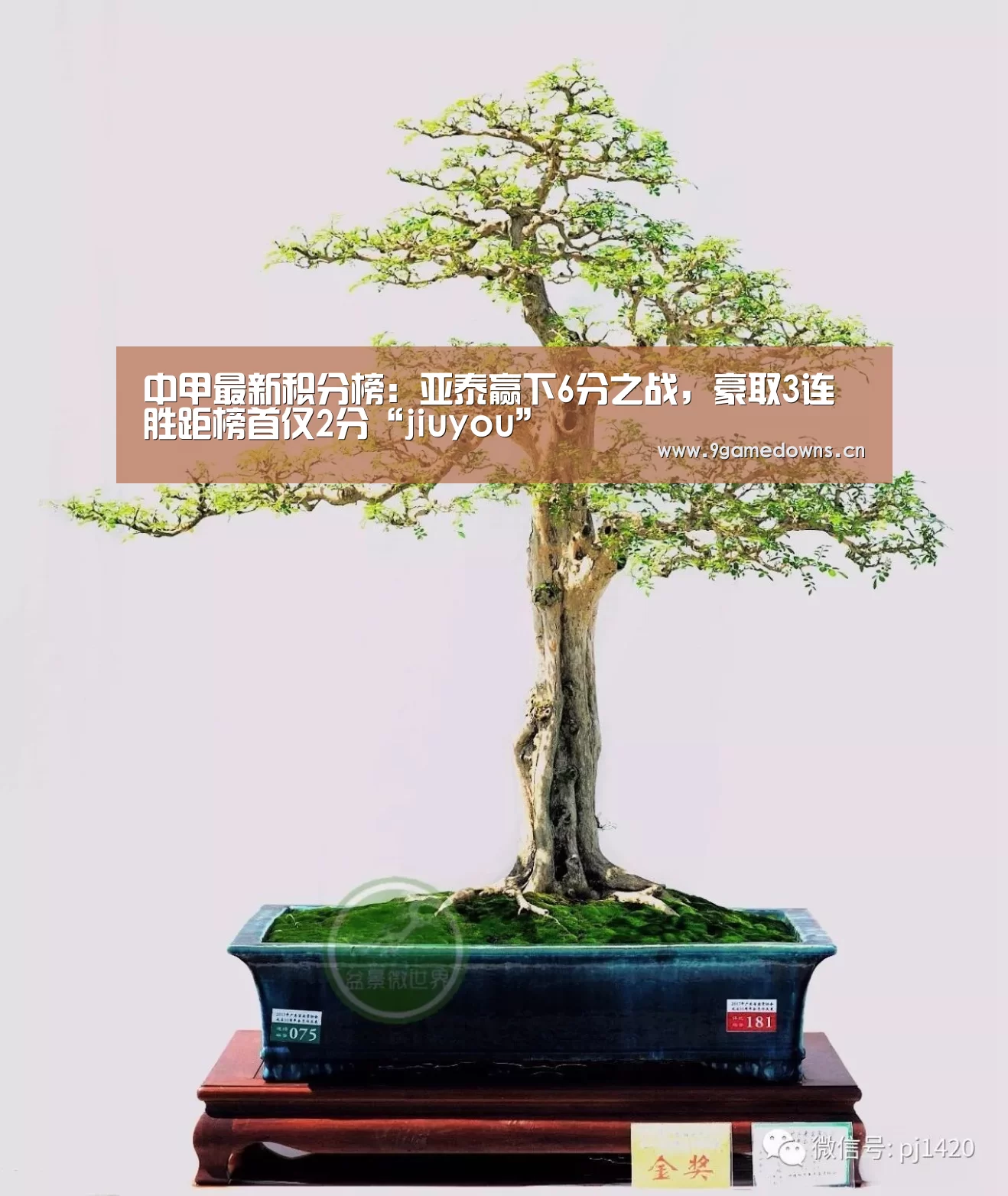 中甲最新积分榜:亚泰赢下6分之战,豪取3连胜距榜首仅2分“jiuyou”(图1) 中甲最新积分榜:亚泰赢下6分之战,豪取3连胜距榜首仅2分“jiuyou”(图1)