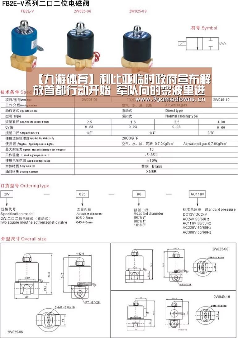 【九游体育】利比亚临时政府宣布解放首都行动开始 军队向的黎波里进发(图3) 九游体育