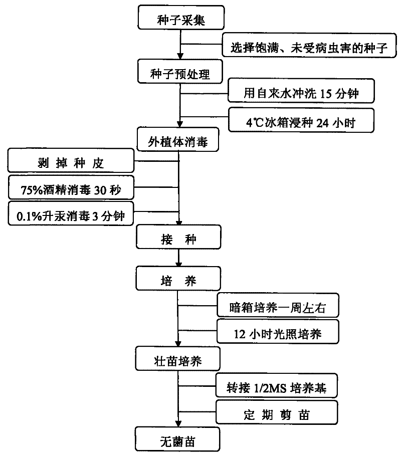 
巴萨凭借这一体现彻底征服欧冠！瓜迪奥拉也没做到 MSN太无解！|九游体育(图1)