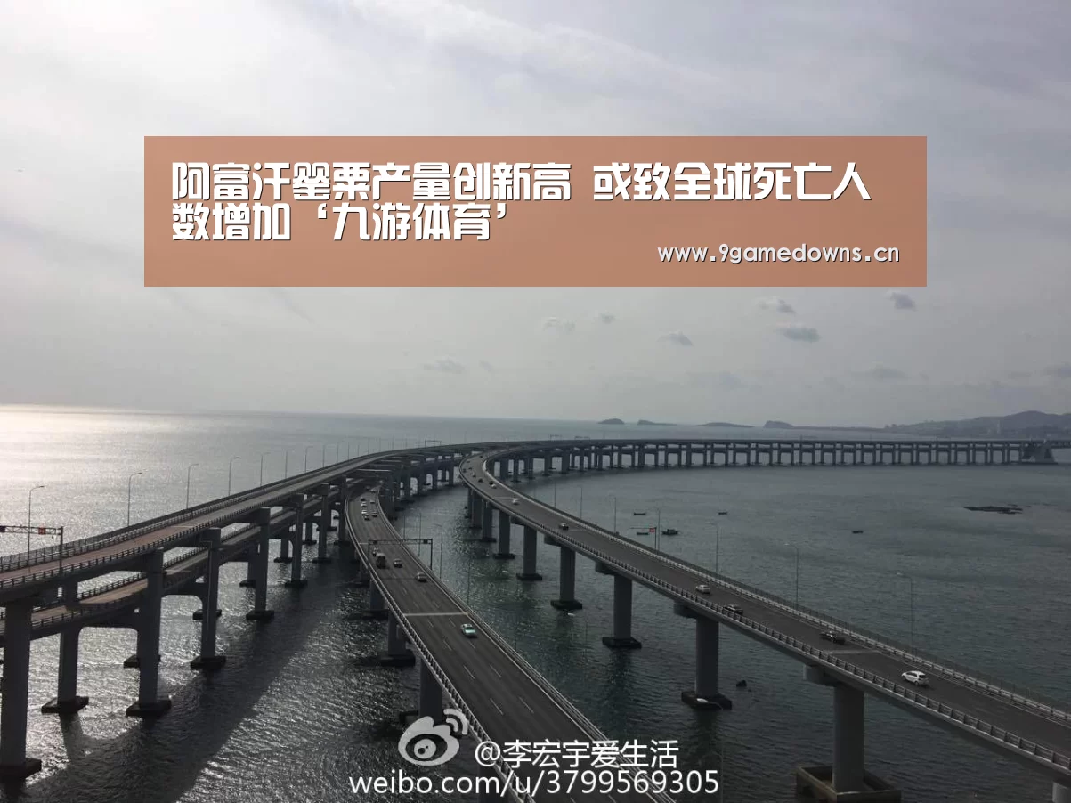 阿富汗罂粟产量创新高 或致全球死亡人数增加‘九游体育’(图1)