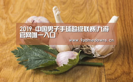 九游官网唯一入口 