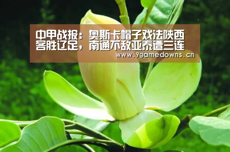 中甲战报：奥斯卡帽子戏法陕西客胜辽足，南通不敌亚泰遭三连败“Jiuyou游戏官网入口”(图3)
