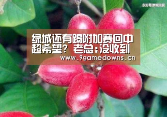 绿城还有踢附加赛回中超希望? 老总:没收到消息‘Jiuyou游戏官网入口’(图1) 九游体育
