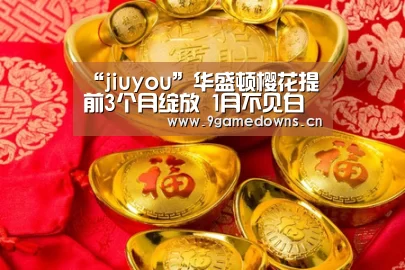 “jiuyou”华盛顿樱花提前3个月绽放 1月不见白雪只见樱花高挂(图4) Jiuyou游戏官网入口